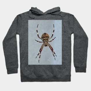 Old hairy legs Hoodie